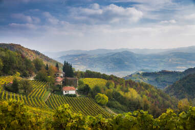 aerial view of langhe country in autumn