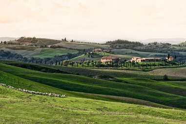 Hilly landscape in Tuscany