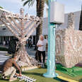 seashell menorah miami beach