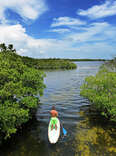 Key Largo paddleboarding