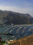 Santa Catalina Island harbor