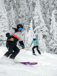 skier on the powdery slopes in flagstaff arizona