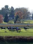 Keeneland