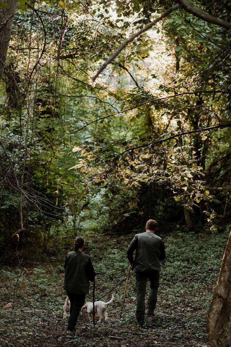 truffle hunting in Italy